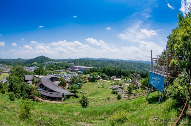 ハローウッズ 夏の森