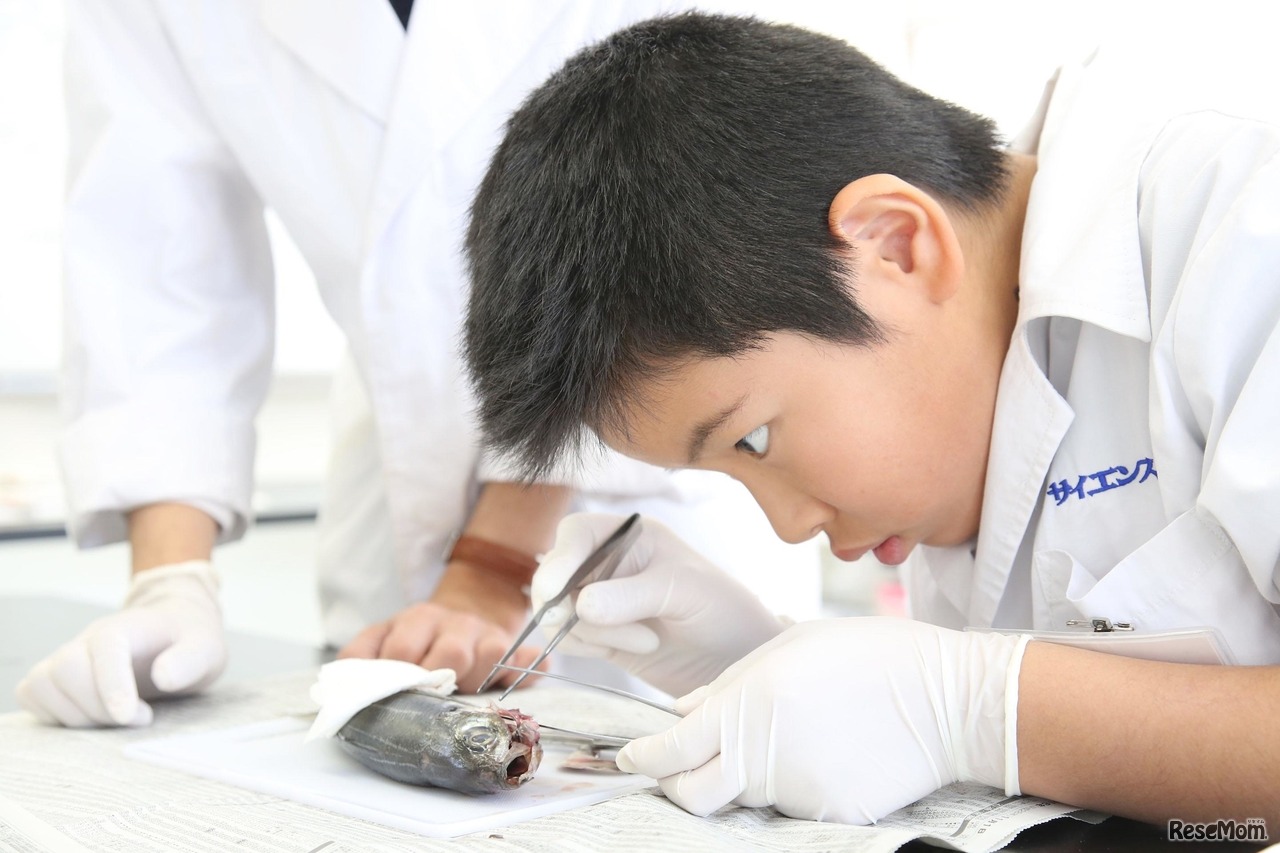 サイエンス倶楽部　受験理科Eコース（イメージ）