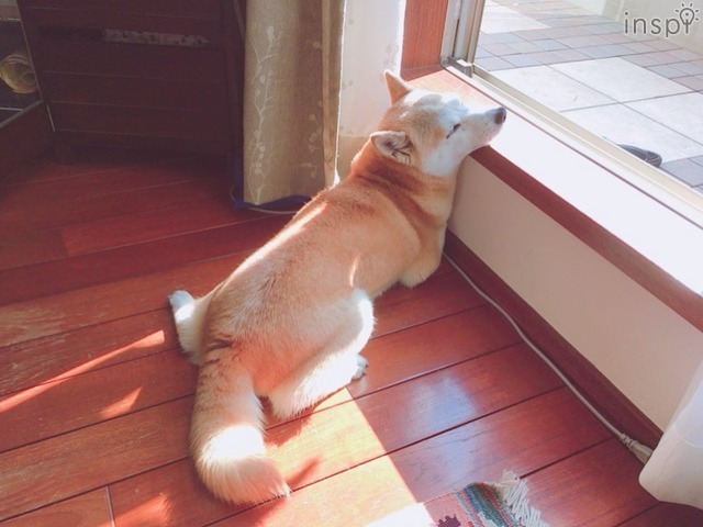 著者「MT」プロフィール：2018年度入社の新入社員です。インスピコラムを書かせていただいたのは今回で2回目なのですが、また登場したいなと秘かに思っております！大学時代は運動部でしたが、信じられないくらい身体がなまってきているのでヨガを始めるか悩み中です！