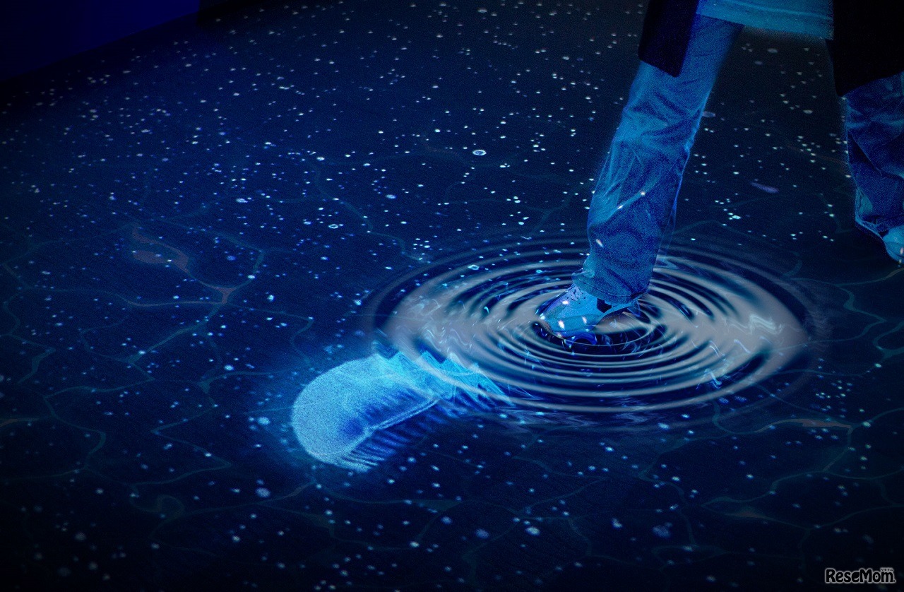 新展示「雪とクラゲ」