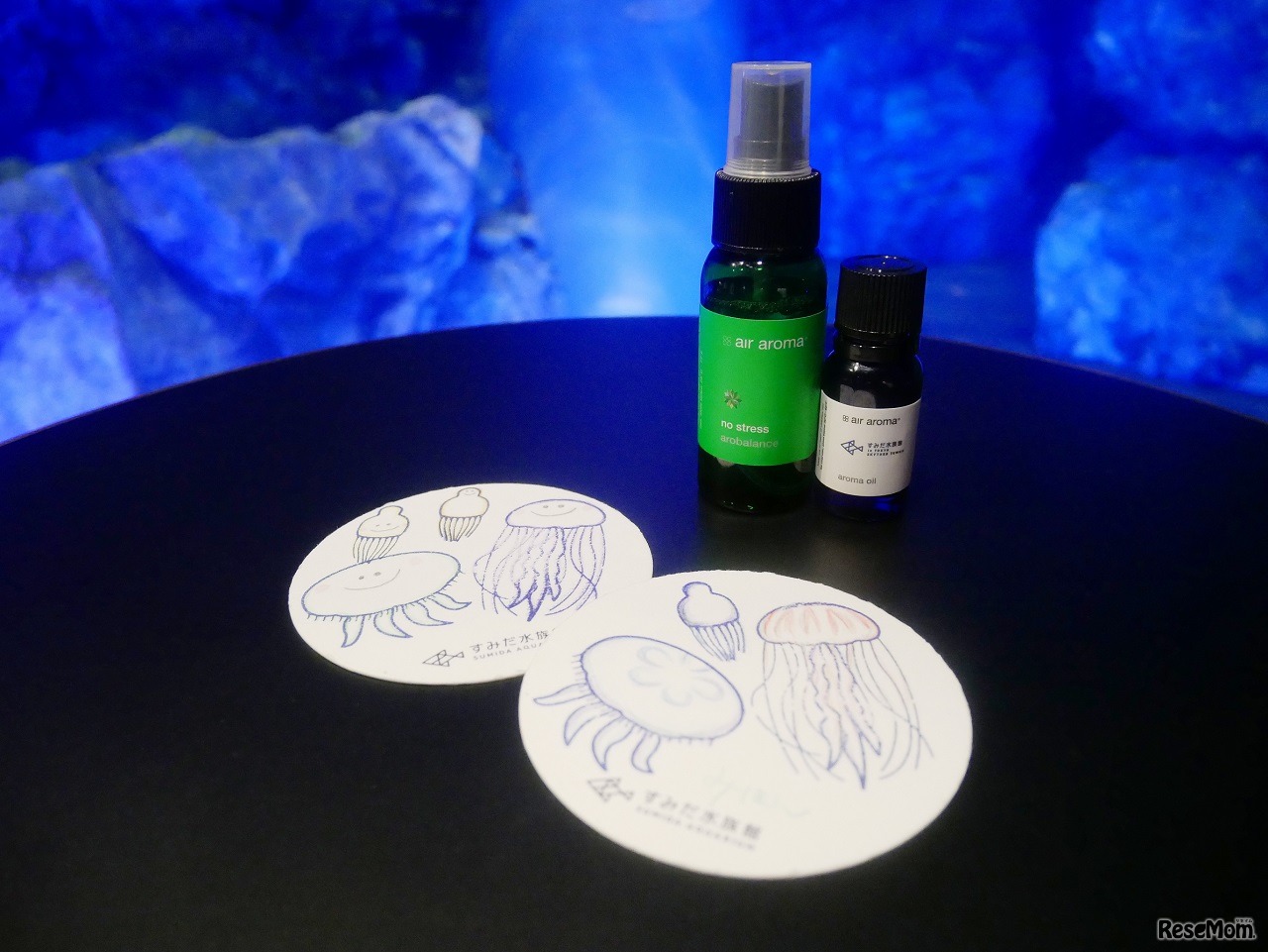 体験プログラム「ゆらゆらクラゲコースター」