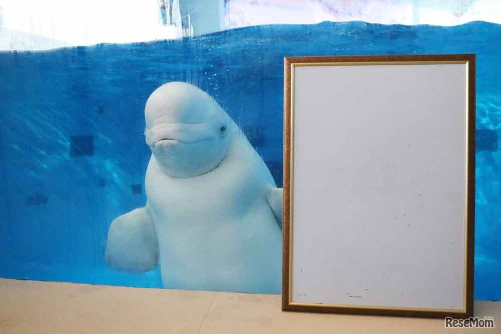 シロイルカが描く名画の一致