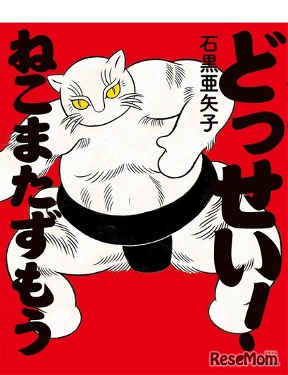 「どっせい！ねこまたずもう」作：石黒亜矢子／出版社：ポプラ社