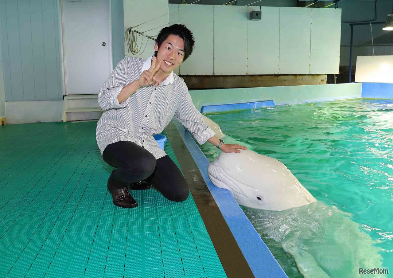 鴨川シーワールド「トロピカルアイランド ナイトステイ」