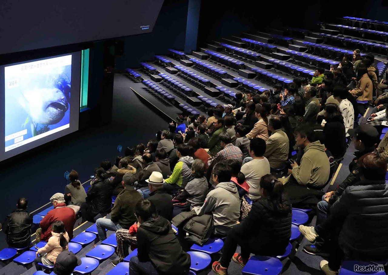 海の生き物教室「謎多きメガマウスザメ」