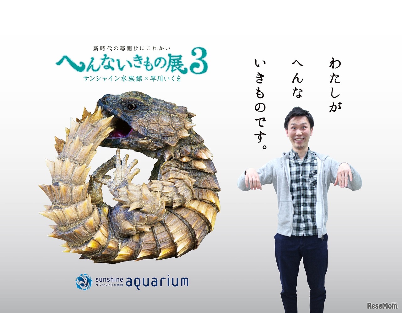 特設フォトスポット（イメージ）