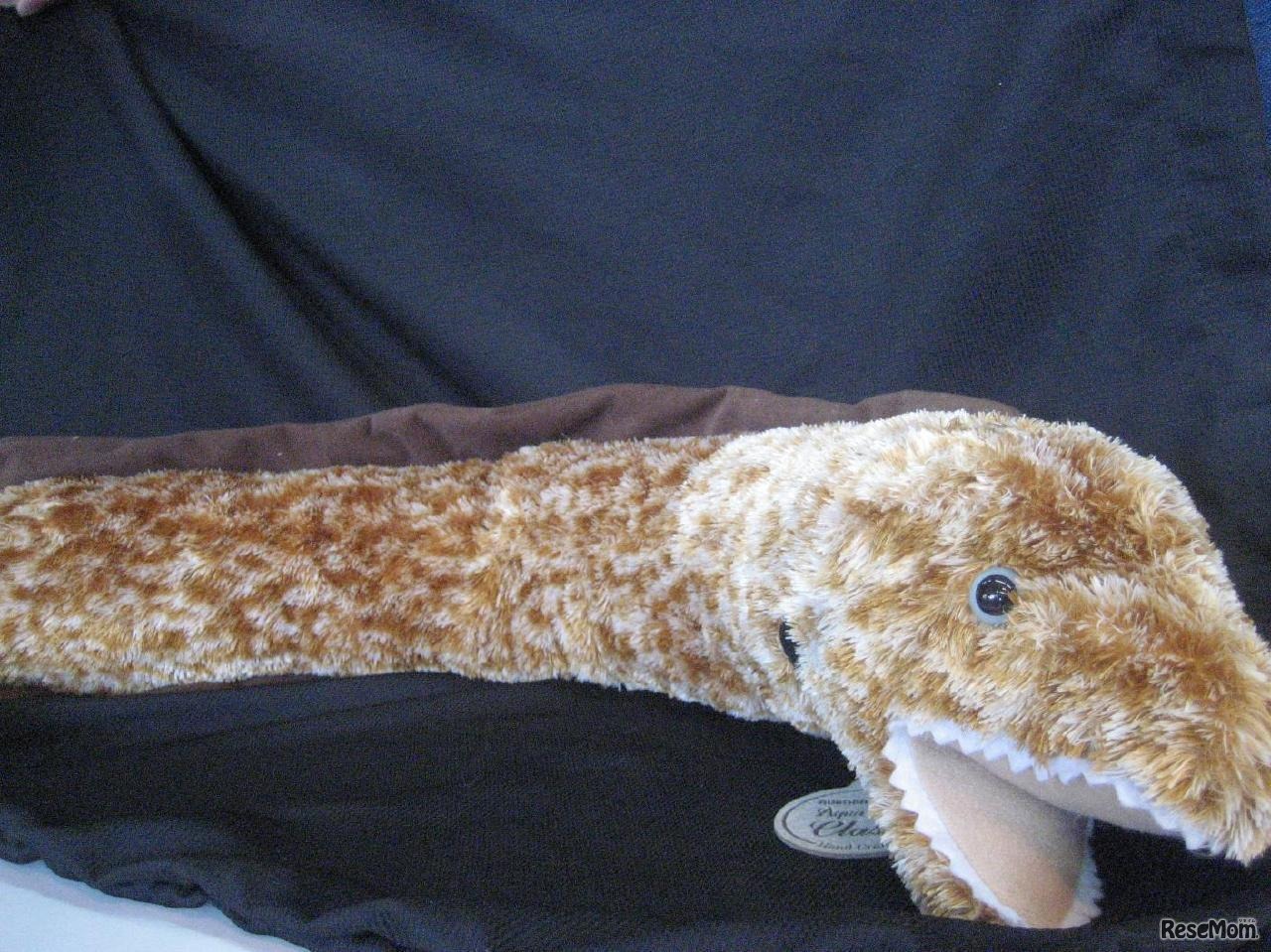 お土産ショップ限定グッズ「アクアクラシック ウツボ」のぬいぐるみ