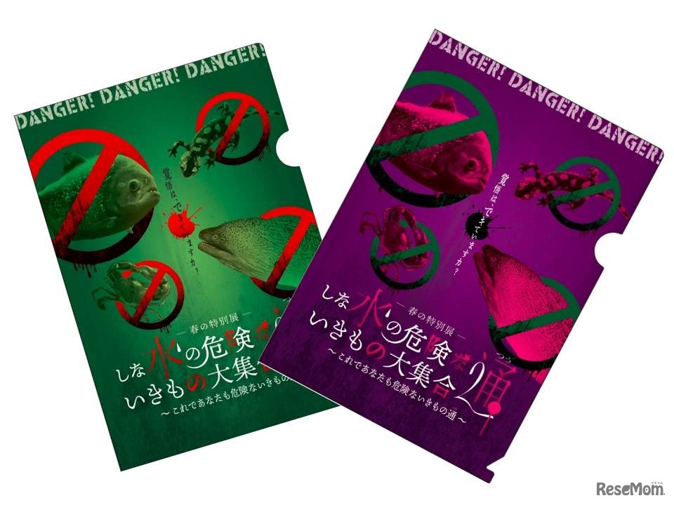 危険ないきものクイズラリー「腕だめしデンジャラ」景品 オリジナルクリアファイル