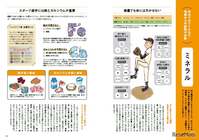 中面：栄養について