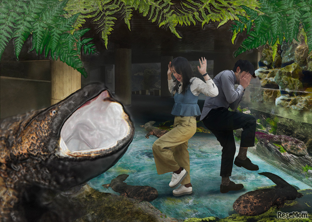 近づいてくるオオサンショウウオの映像のイメージ