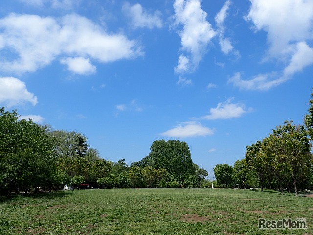 園内最大でチョウやトンボ、バッタなどが見られる原っぱ広場