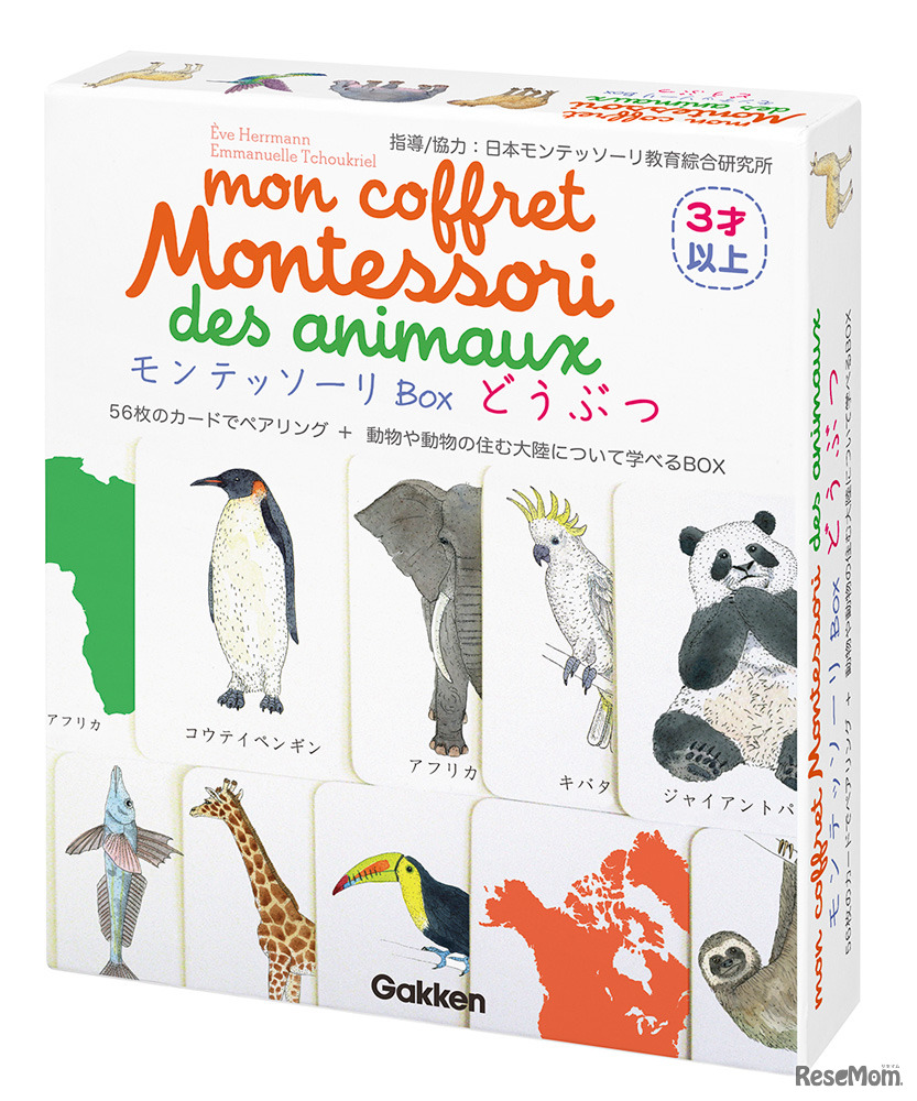 「モンテッソーリBox」どうぶつ