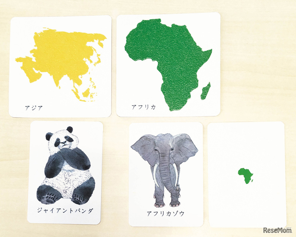 動物と大陸のカード