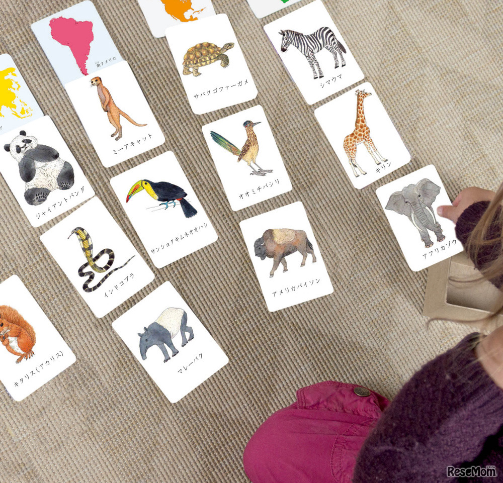 大陸と動物をペアリングする