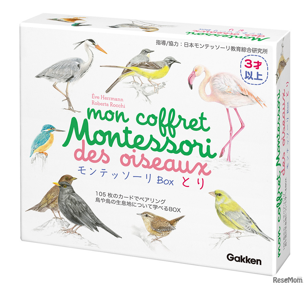 「モンテッソーリBox」とり