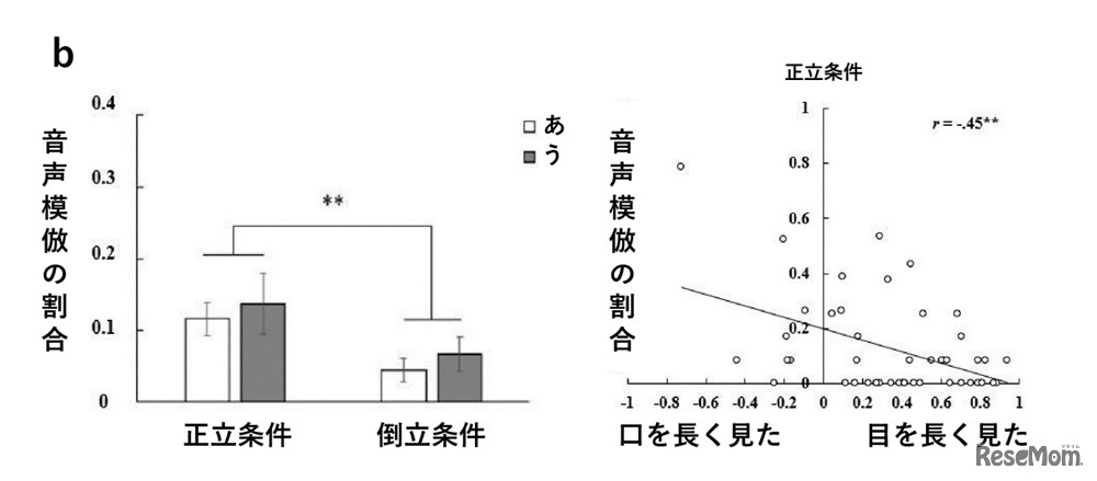 図b：音声模倣の割合（左）、音声模倣の割合と発話者への視線反応（右）の結果