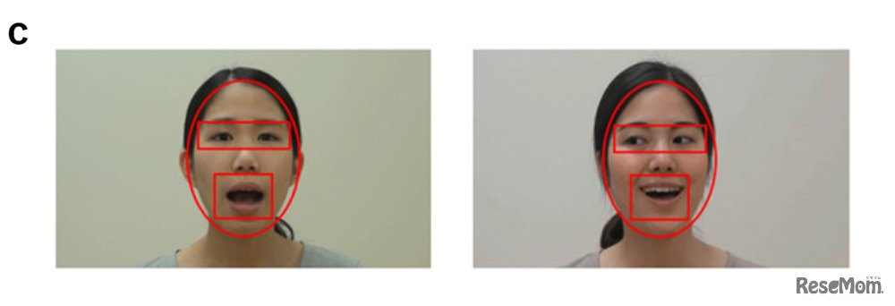 図c：直視条件（左）と逸視条件（右）の例