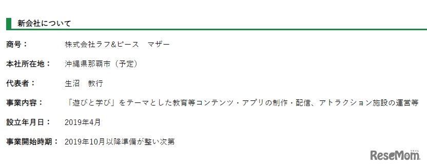 新会社の概要