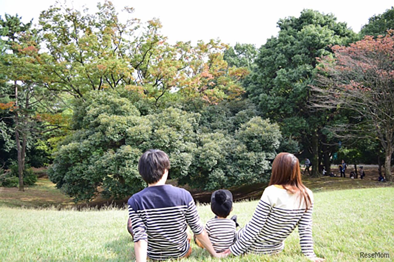 画像はイメージです