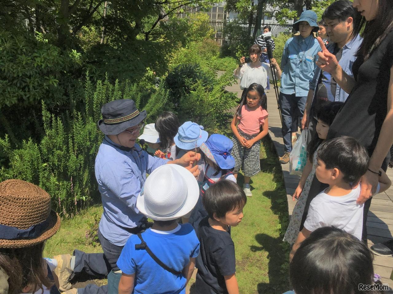 屋上庭園 親子自然散策ツアー