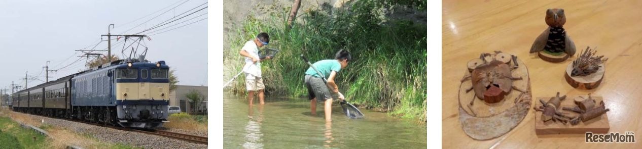 「EL ぐんまよこかわ」に乗車！大迫力の「神流川発電所」内部も探検 清流に住む「水棲昆虫観察」と山のめぐみで作る「木工体験」