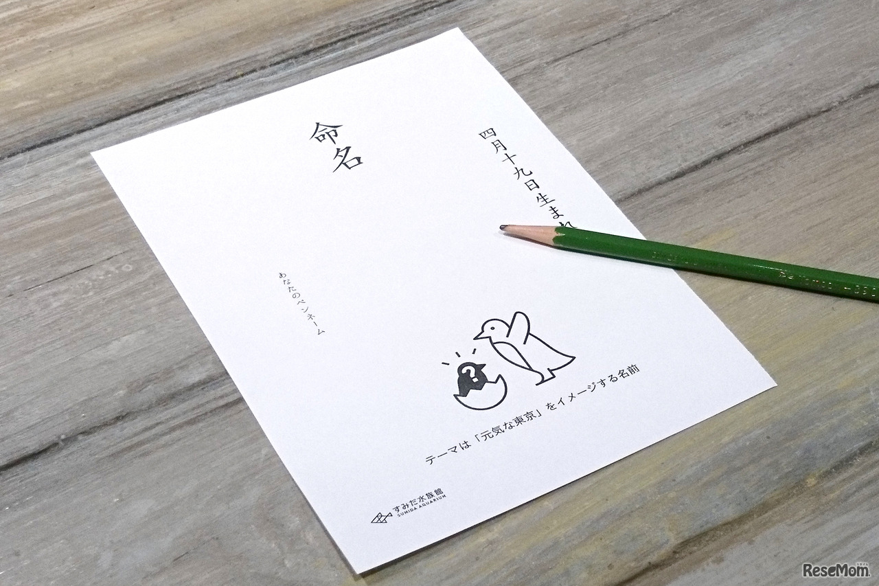 マゼランペンギンの赤ちゃんの名前を大募集！ 応募用紙（イメージ）