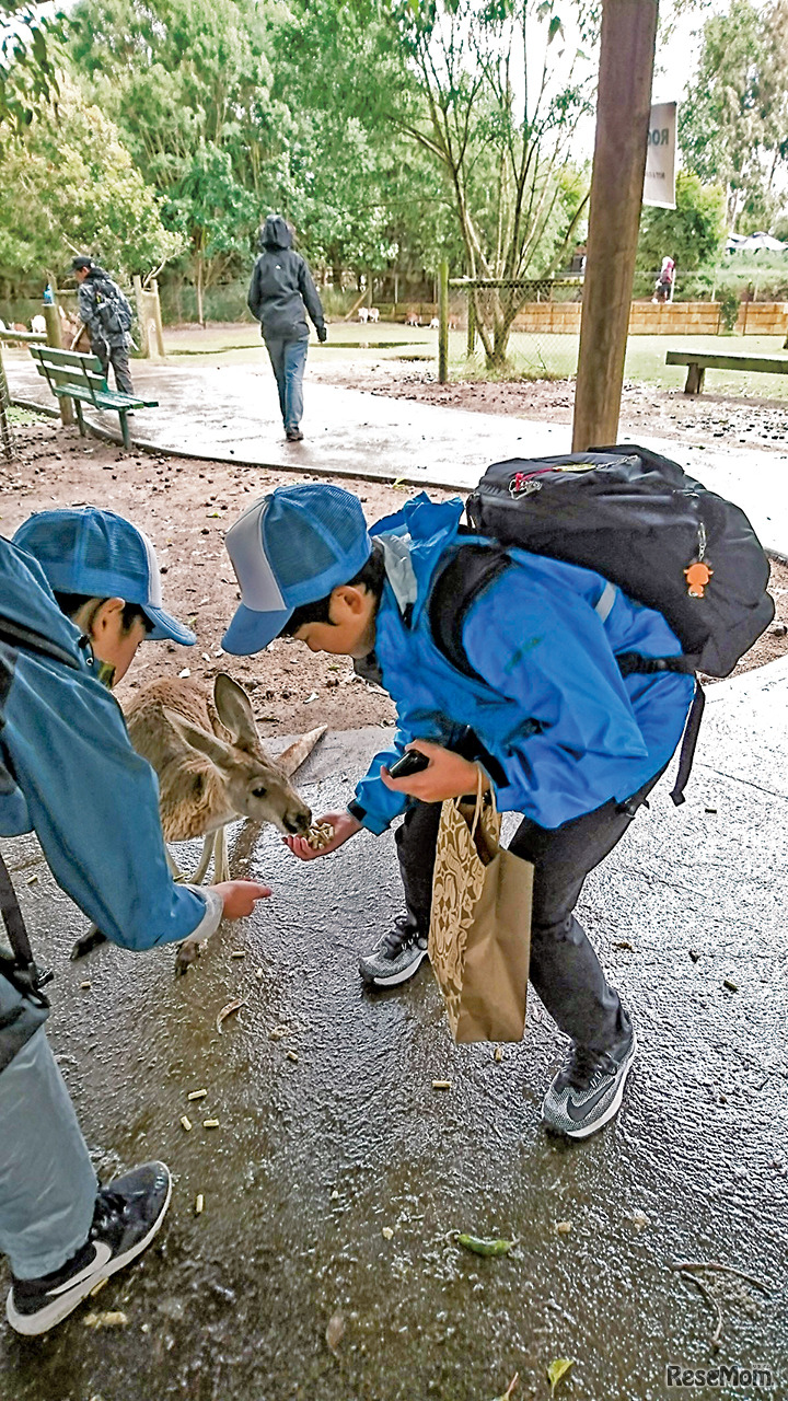 ベネッセ小学生留学（パース）