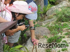食虫植物のひみつ展