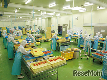 めんたいパーク大洗