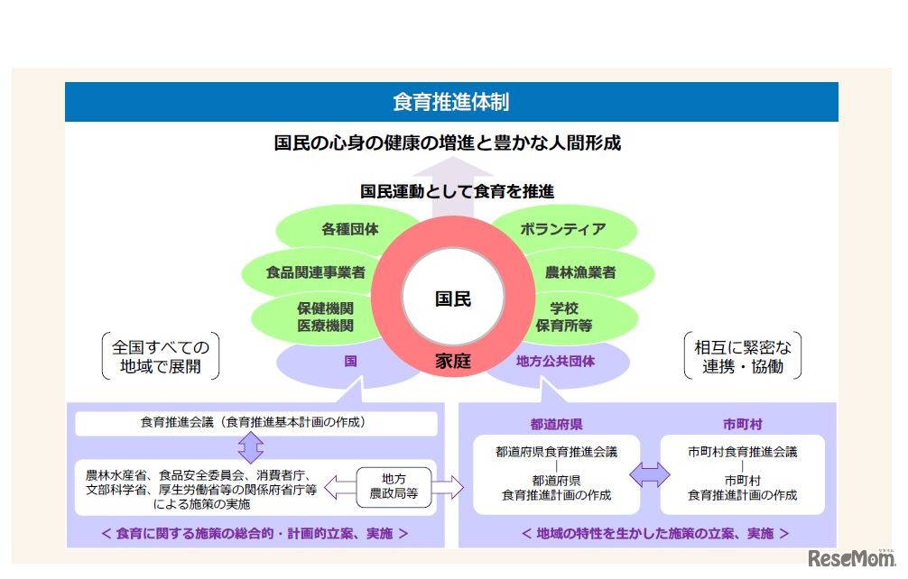 食育推進体制