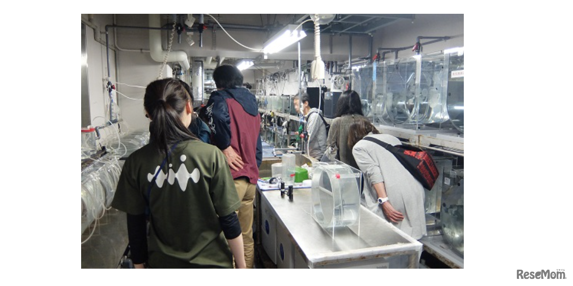 夜のいきもの解説ツアー