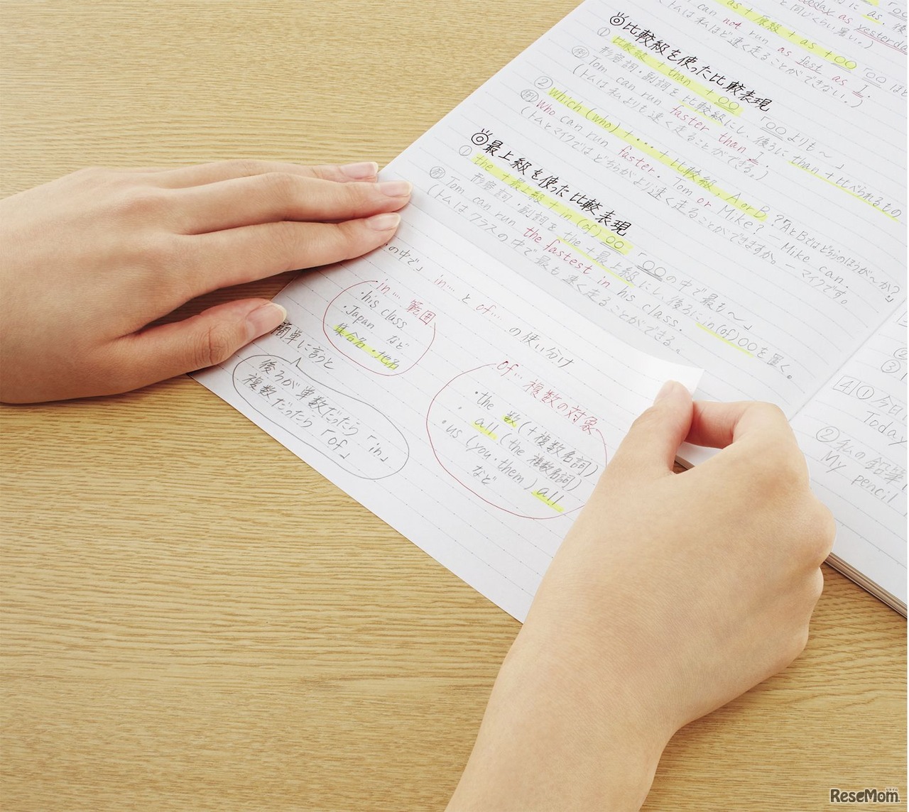 キャンパス まとめがはかどるノートふせん