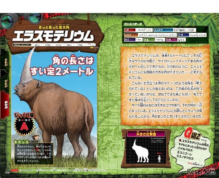 エラスモテリウム