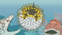 『ざんねんないきもの事典』シリーズ（C）TAKAHASHI SHOTEN/NHK、NEP、ファンワークス