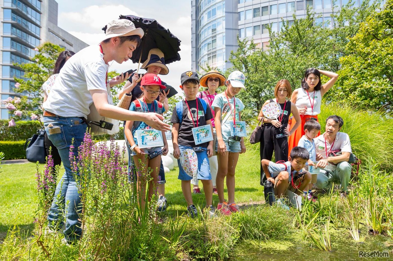 六本木ヒルズのヒミツ探検ダイジェストツアー（六本木ヒルズ）