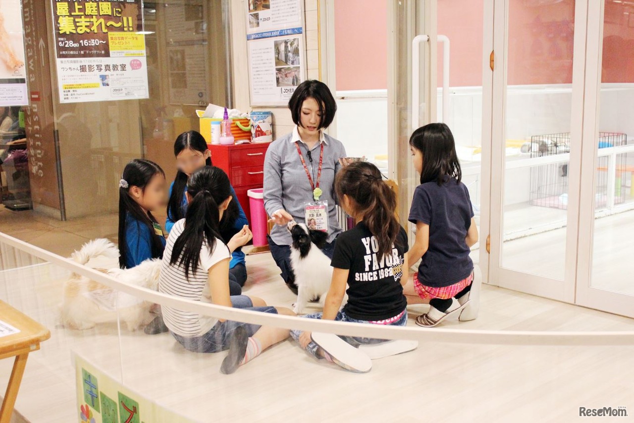 キッズトレーナー体験（六本木ヒルズ）