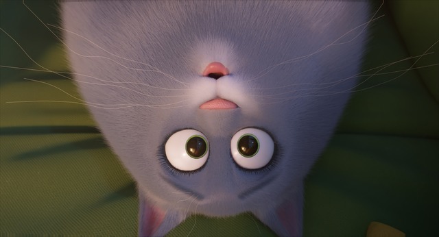 『ペット2』（C）Universal Studios.