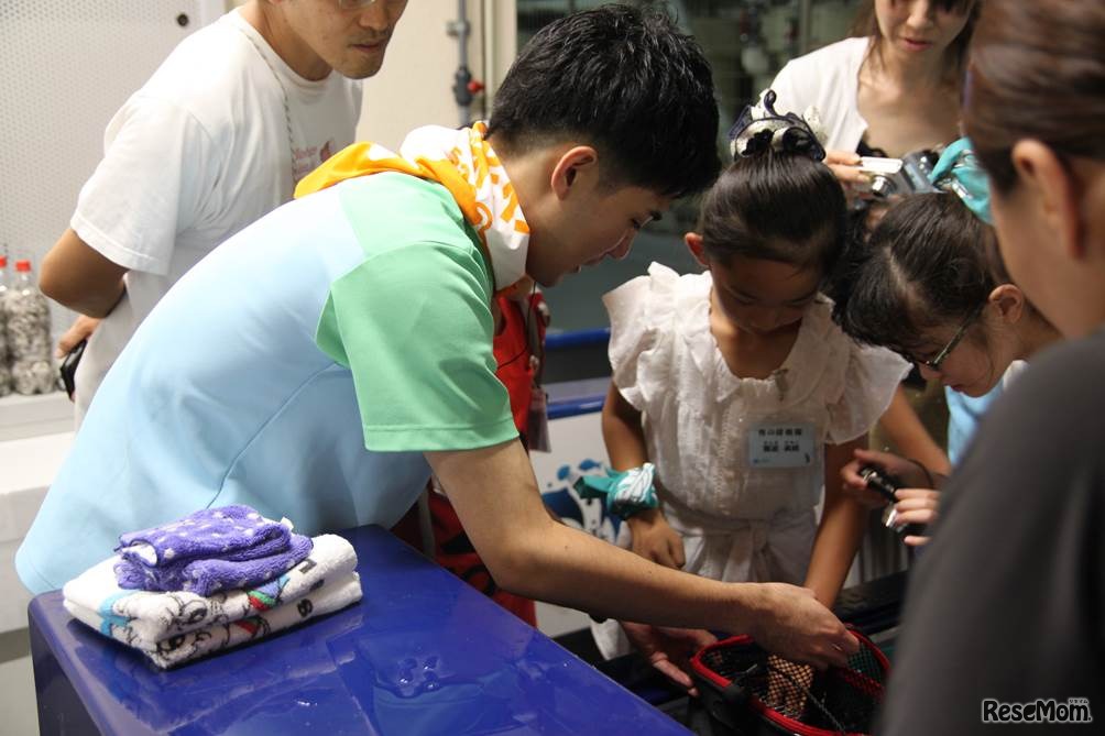夜の探検隊～サンシャイン水族館に泊まろう！～