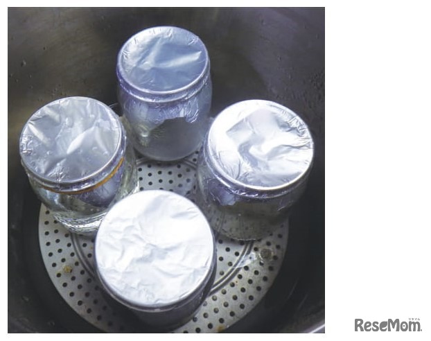 【自由研究】キッチンでできる！植物バイオ入門