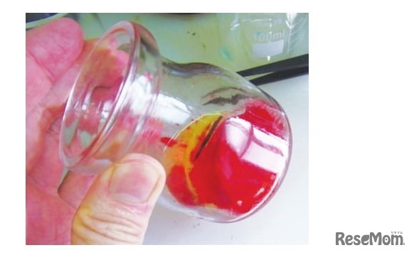 【自由研究】美しい3層液体に学ぶ 溶媒・極性・比重