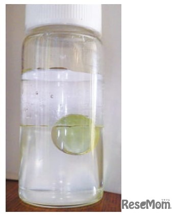 【自由研究】美しい3層液体に学ぶ 溶媒・極性・比重