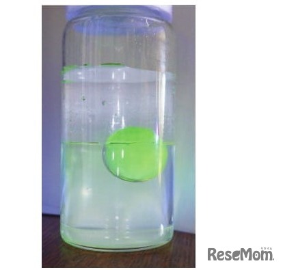 【自由研究】美しい3層液体に学ぶ 溶媒・極性・比重