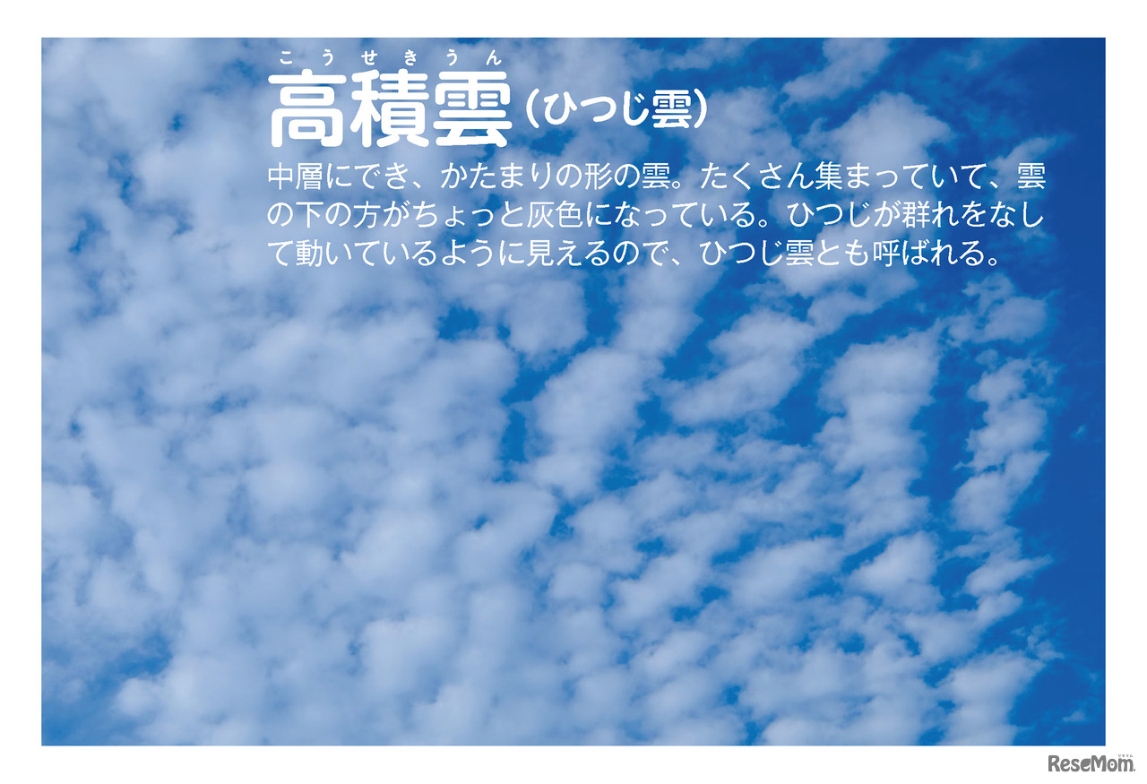 高積雲（写真・文／武田康男）