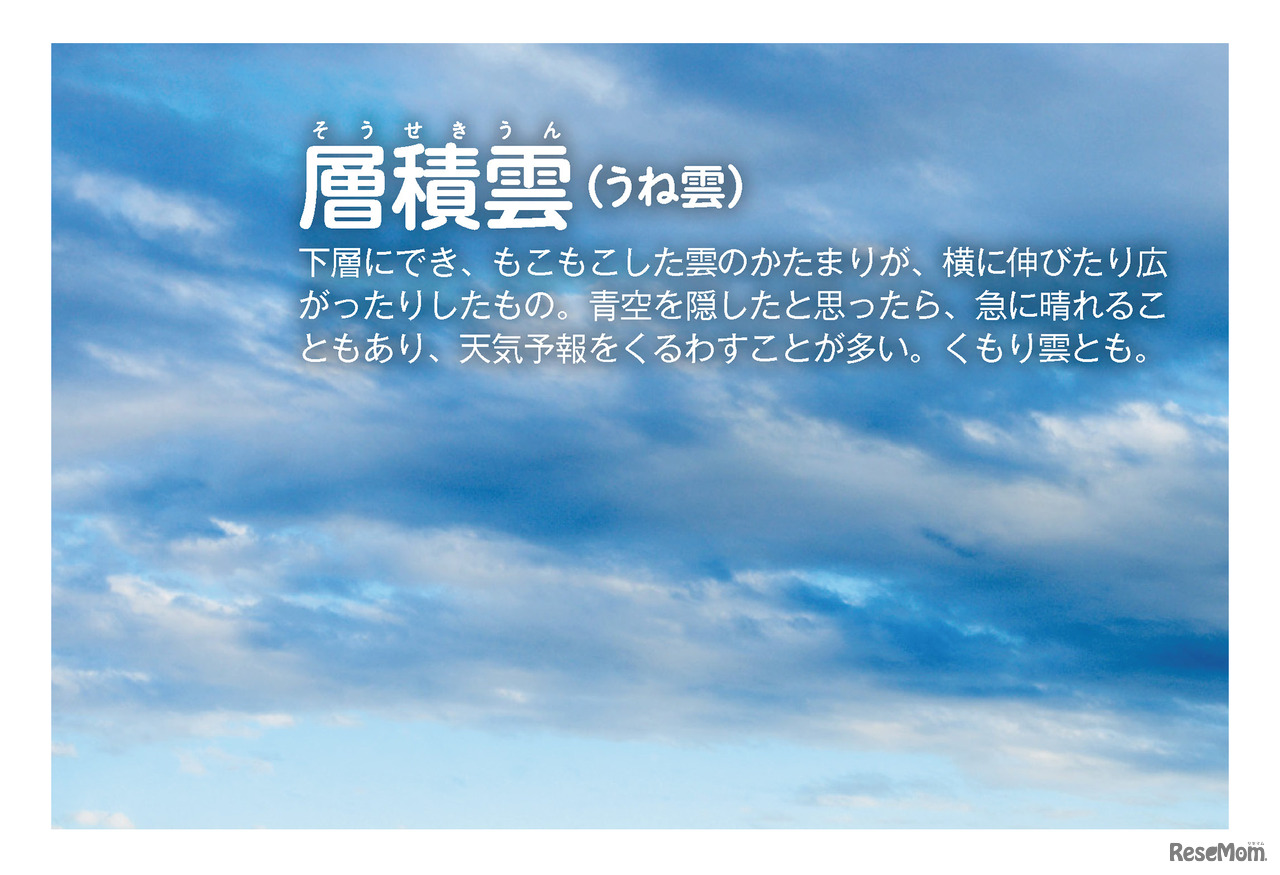 層積雲（写真・文／武田康男）