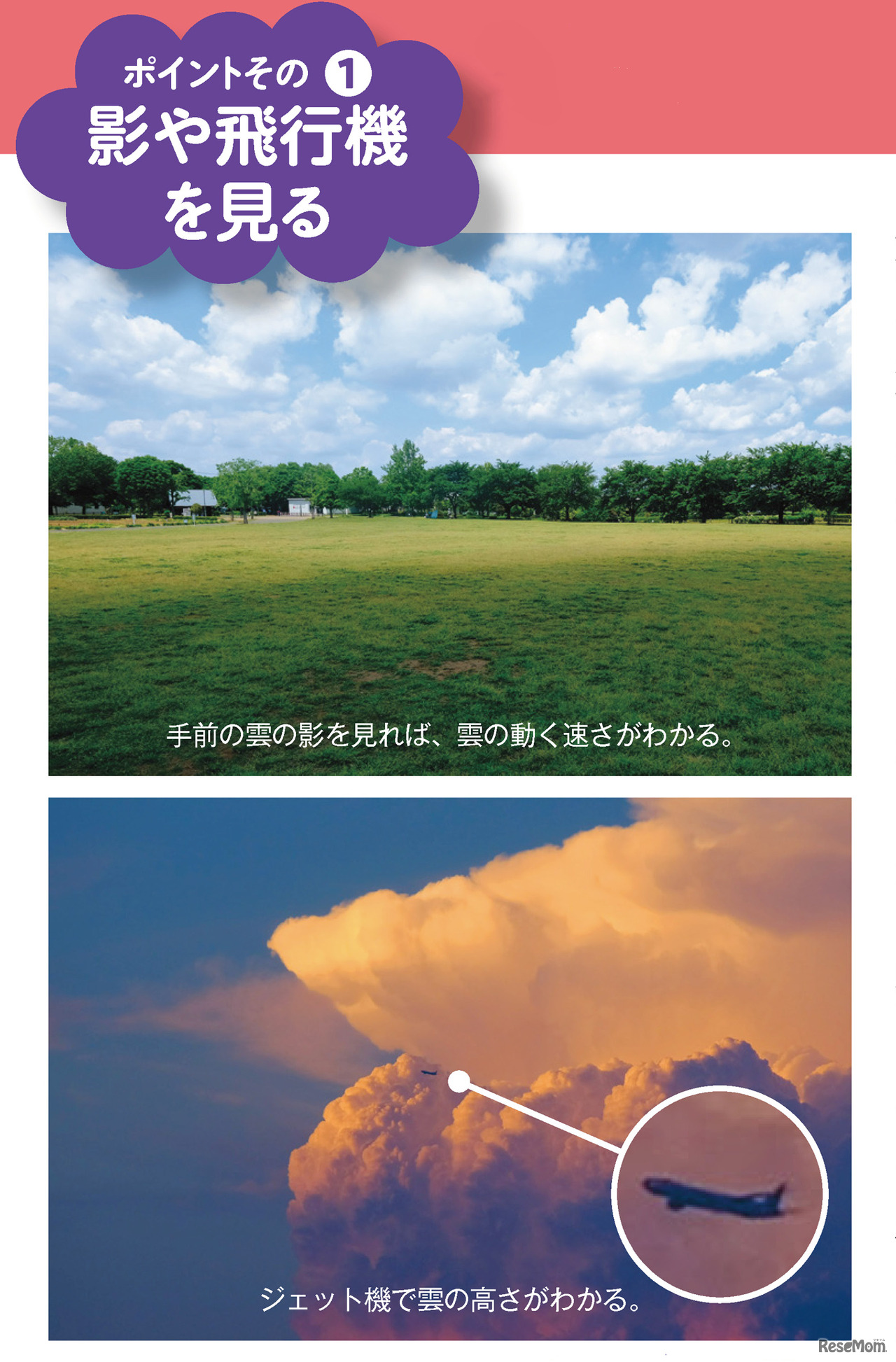 ポイントその1．影や飛行機を見る（写真・文／武田康男）
