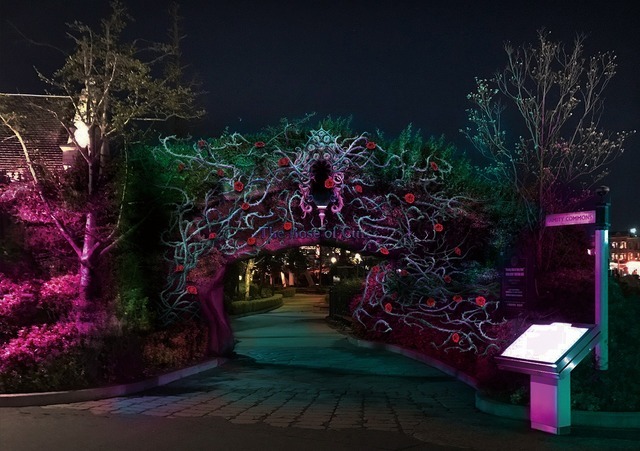 画像提供：ユニバーサル・スタジオ・ジャパン