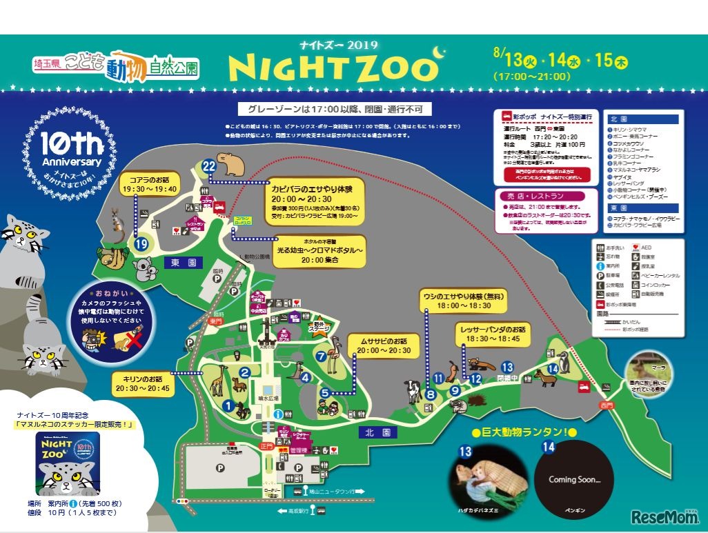 ナイトズー2019マップ