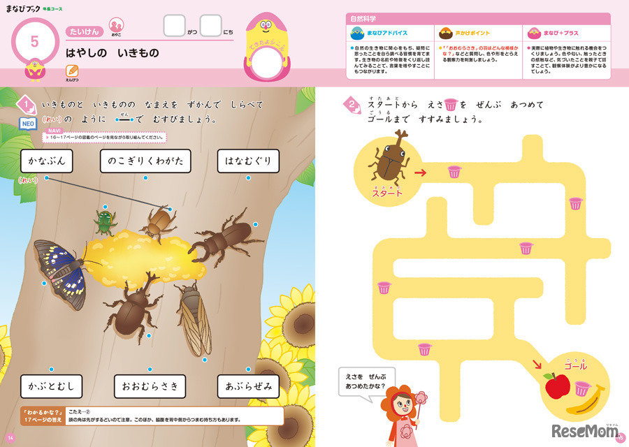 図鑑のページを使って取り組むページ