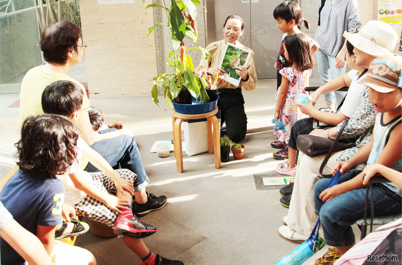 食虫植物ちょこっとガイド