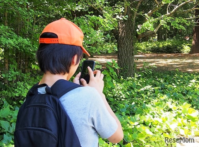 写真はイメージです